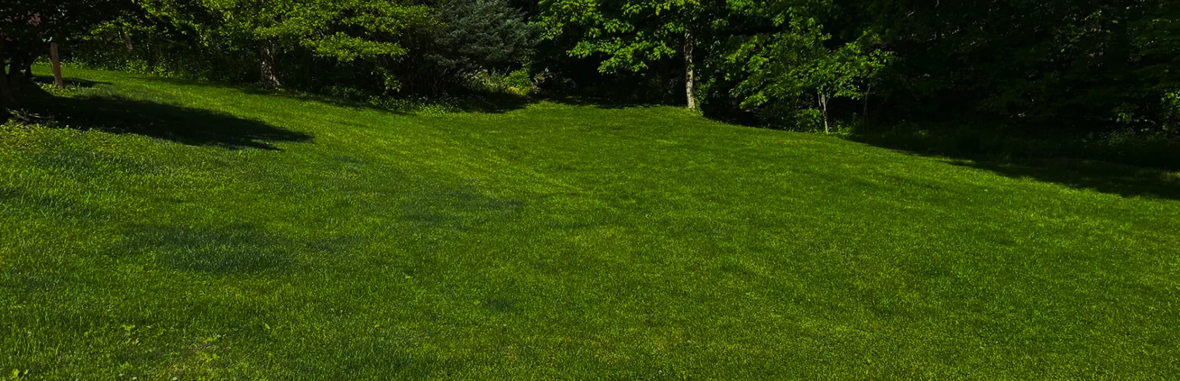 Washington County Excavation About us breadcrumb